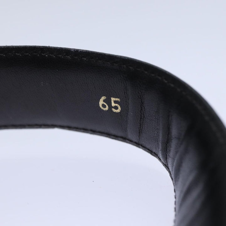 Celine Belts