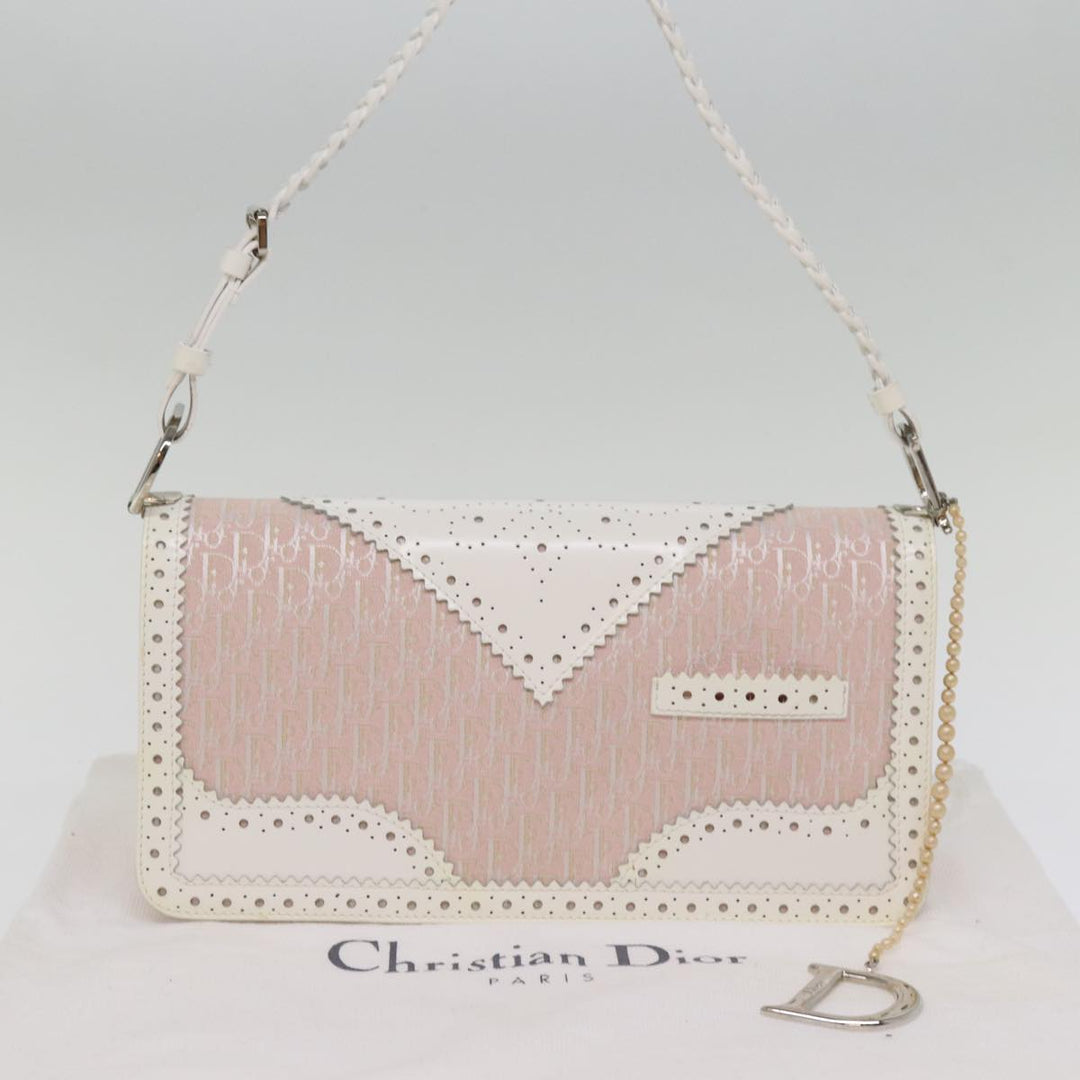Top quality Dior Trotter Canvas Shoulder Bag Shoulder Bag