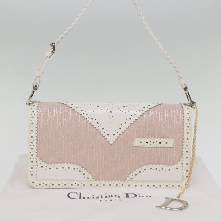 Top quality Dior Trotter Canvas Shoulder Bag Shoulder Bag