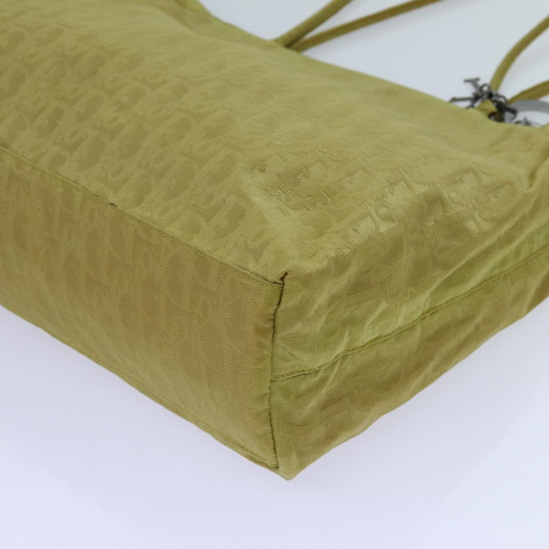 Top quality Dior Trotter Tote