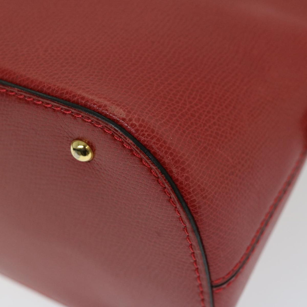 Celine Handbag