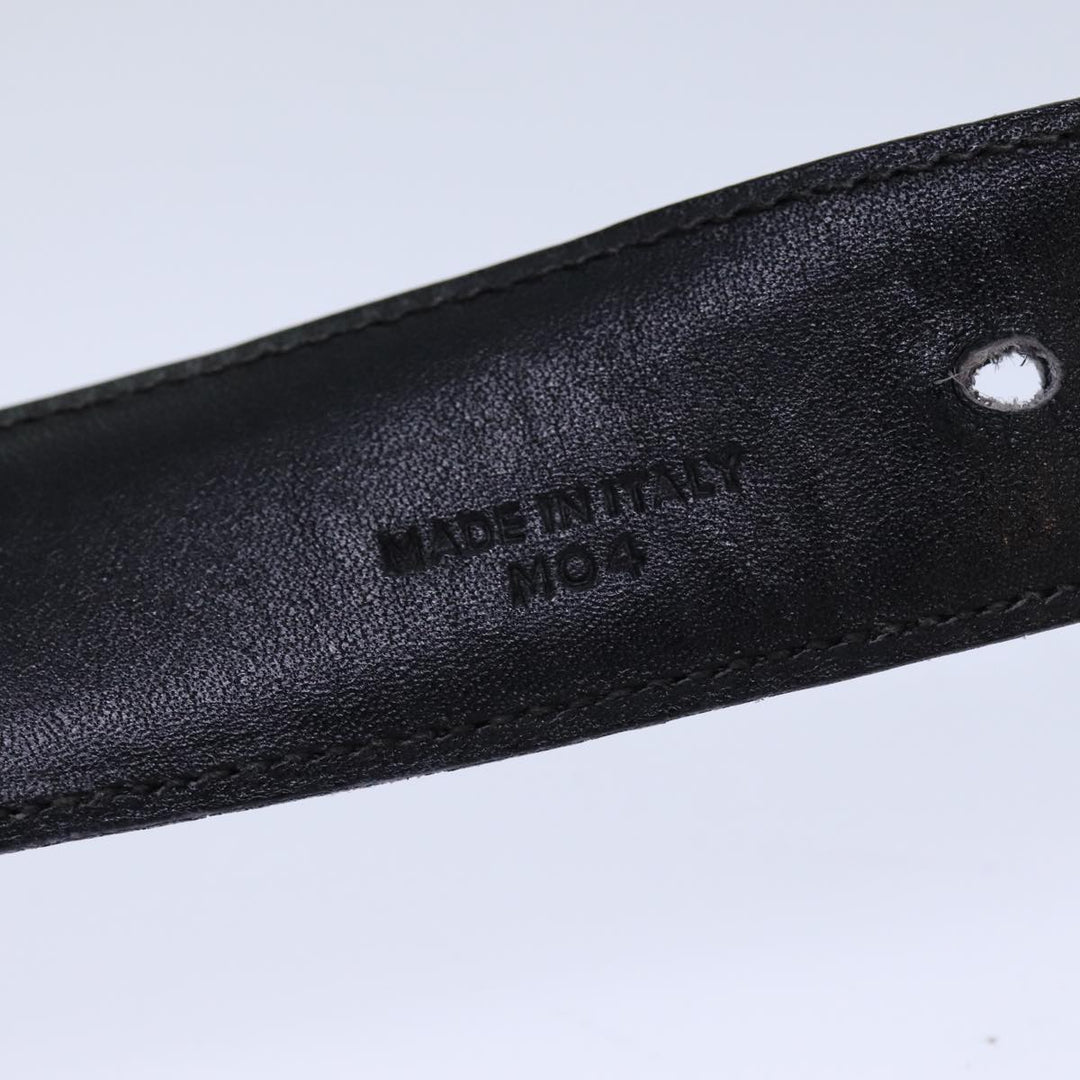 Celine Belts