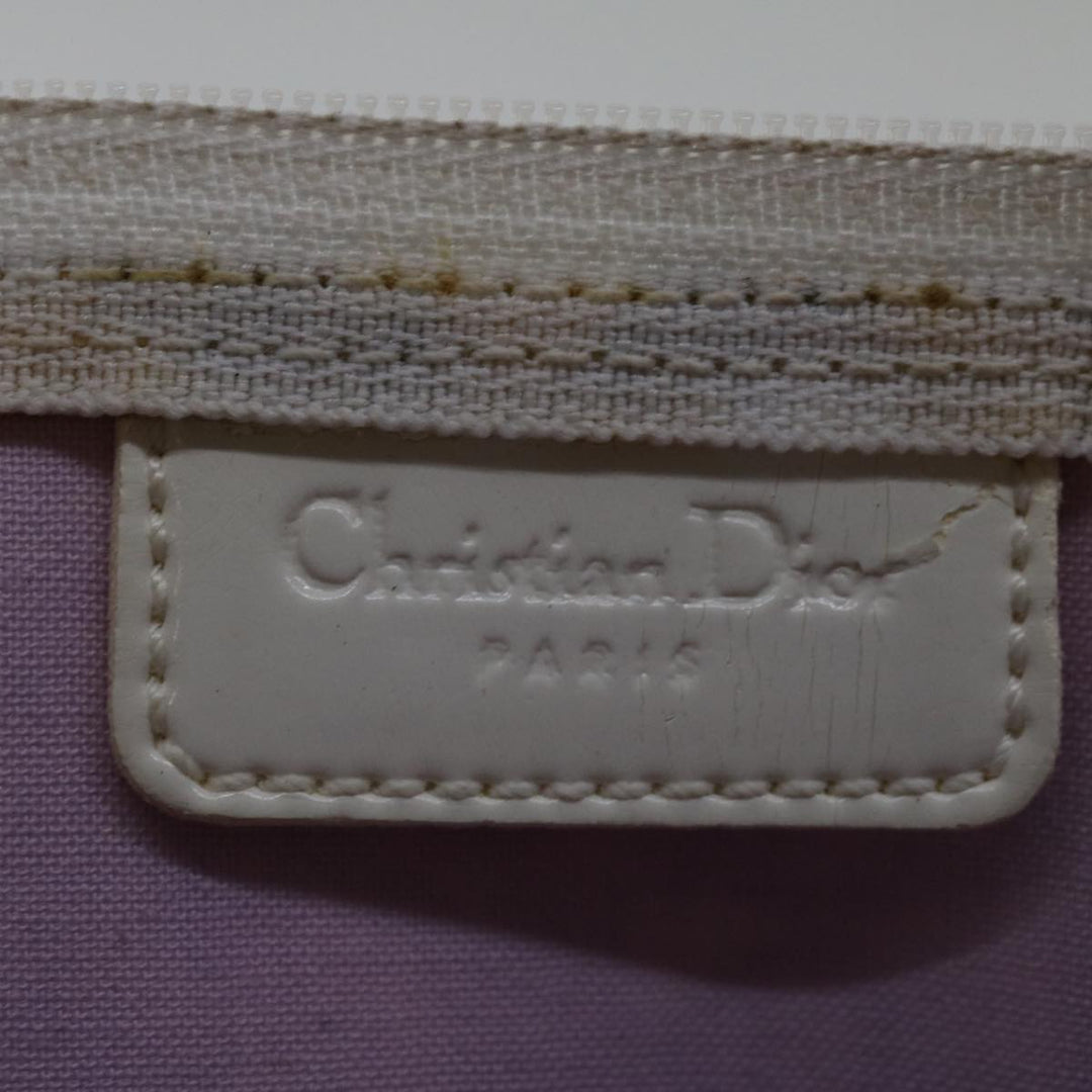 Top quality Dior Trotter Clutch Bag