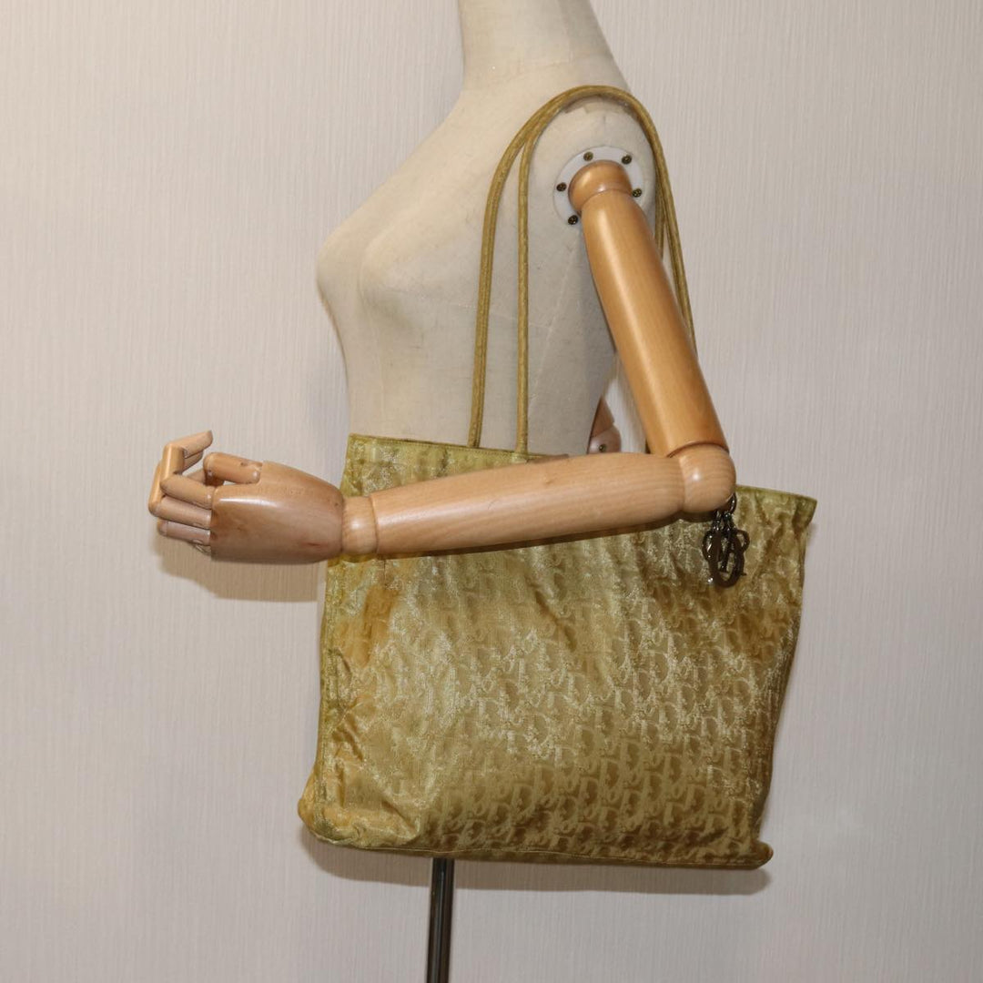 Top quality Dior Trotter Tote