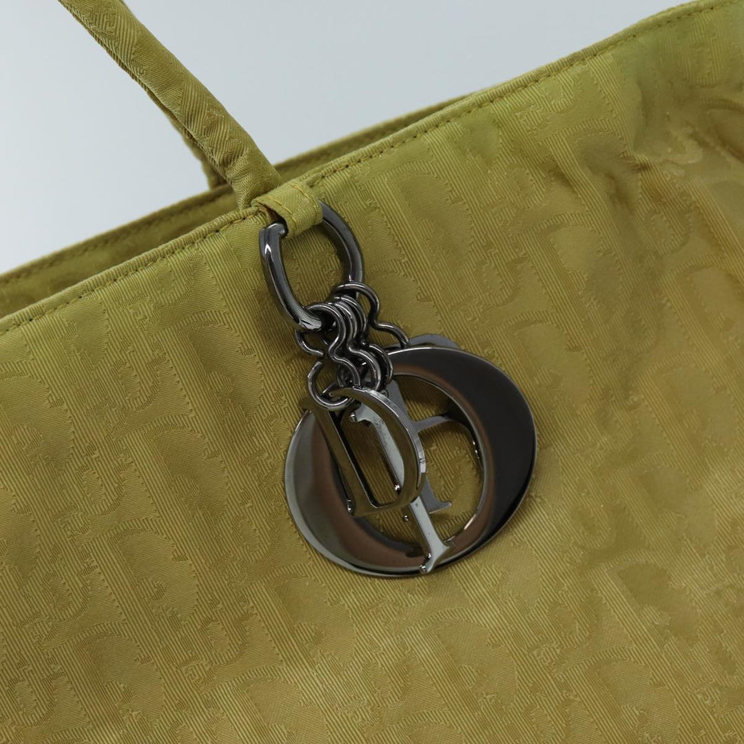 Top quality Dior Trotter Tote