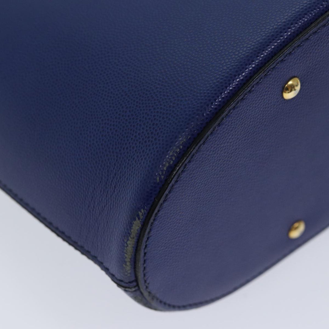 Celine Handbag