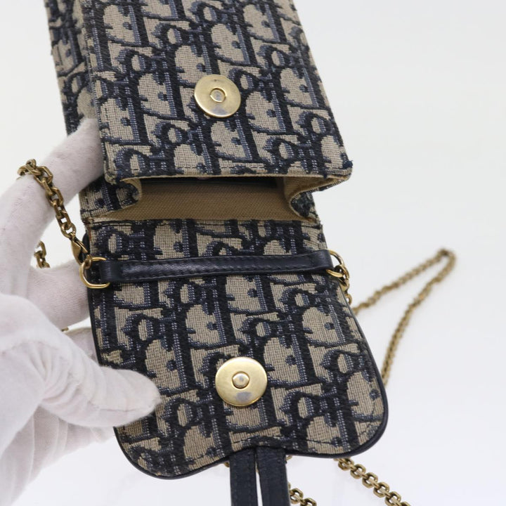 Top quality Dior Saddle Clutch Bag