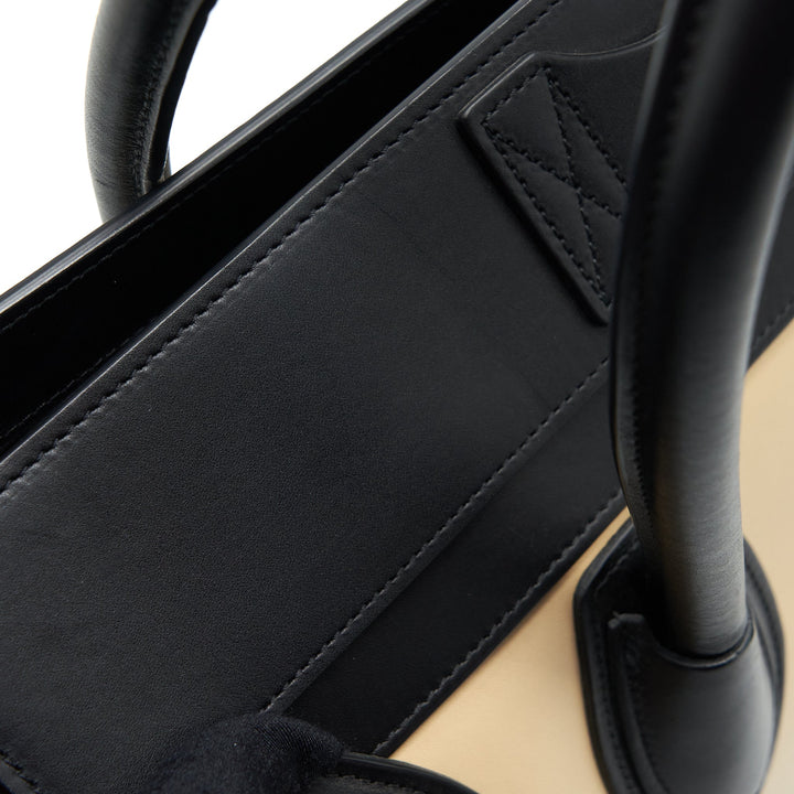 Celine Mini Luggage Bag Calfskin Multicoloured