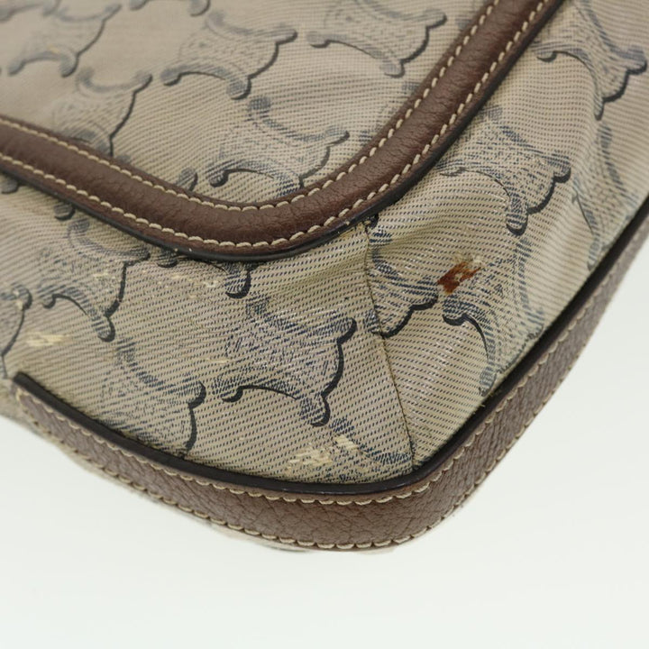 Celine Shoulder Bag Triomphe Beige SC-ST-0097 Auth 39618