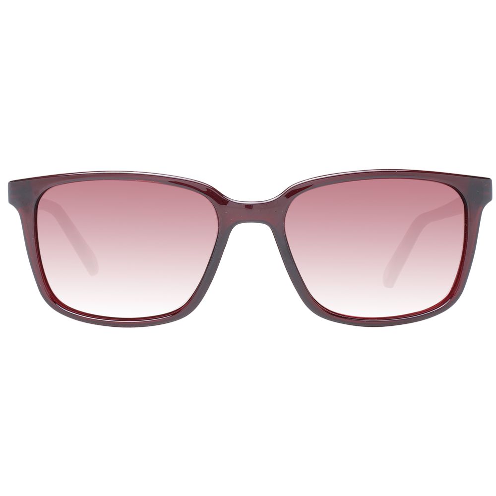 Ted Baker Burgundy Men Men's Sunglasses
