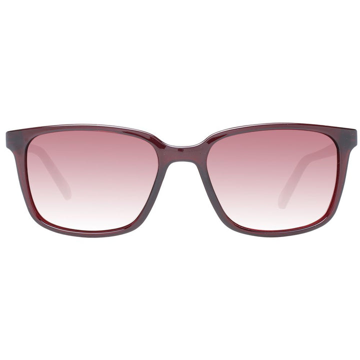 Ted Baker Burgundy Men Men's Sunglasses