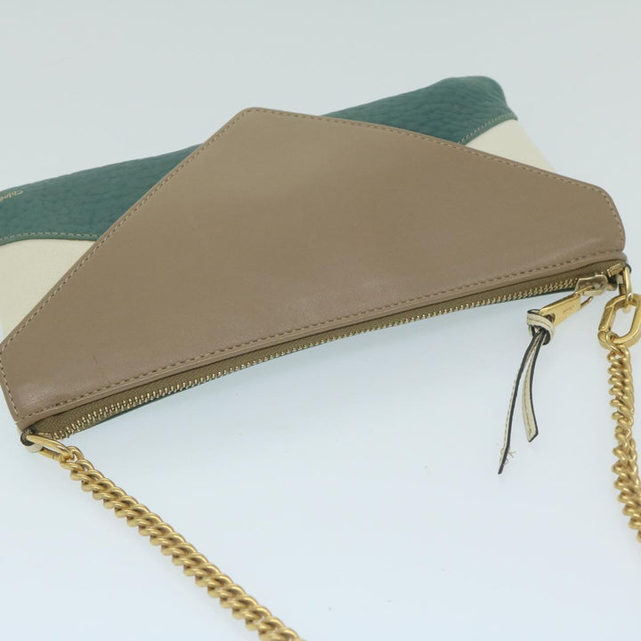 Chloe Chain Pouch Leather Green 63662