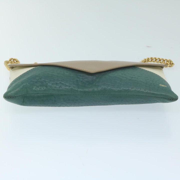 Chloe Chain Pouch Leather Green 63662