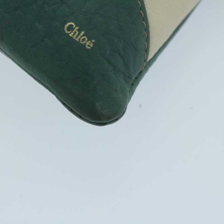 Chloe Chain Pouch Leather Green 63662