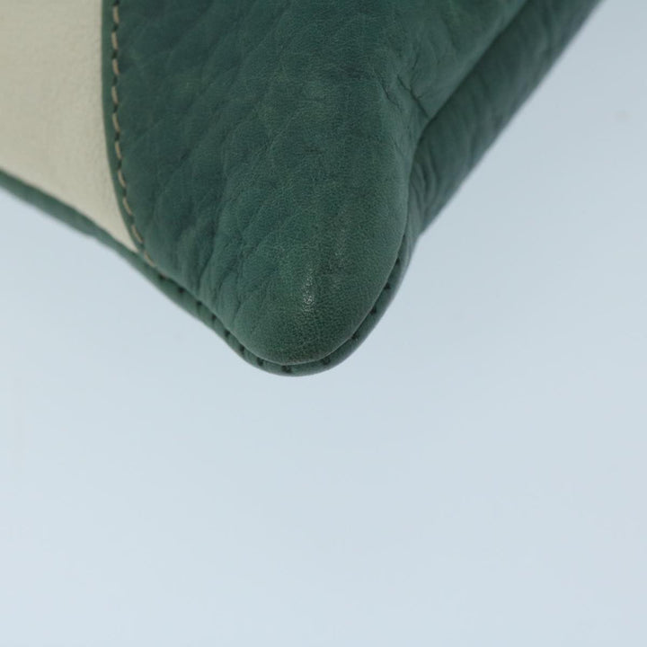 Chloe Chain Pouch Leather Green 63662