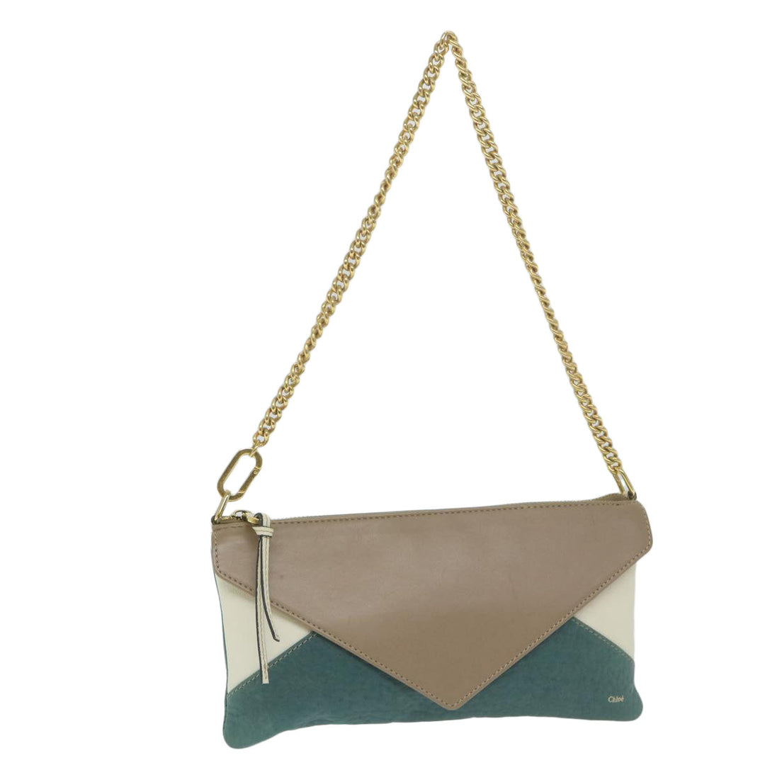 Chloe Chain Pouch Leather Green 63662