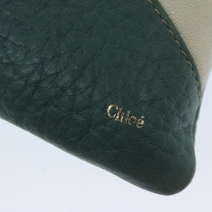 Chloe Chain Pouch Leather Green 63662