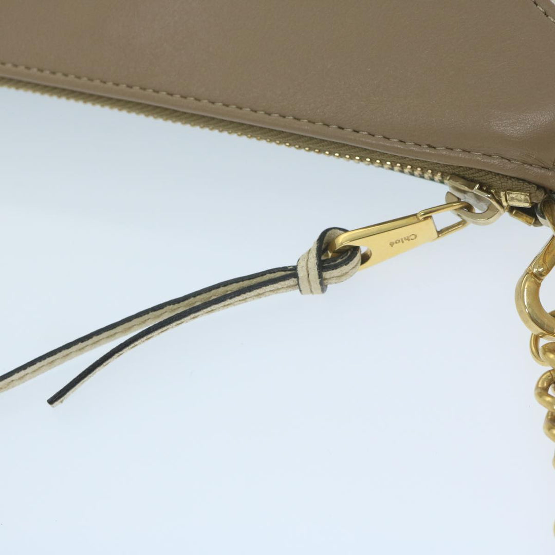 Chloe Chain Pouch Leather Green 63662
