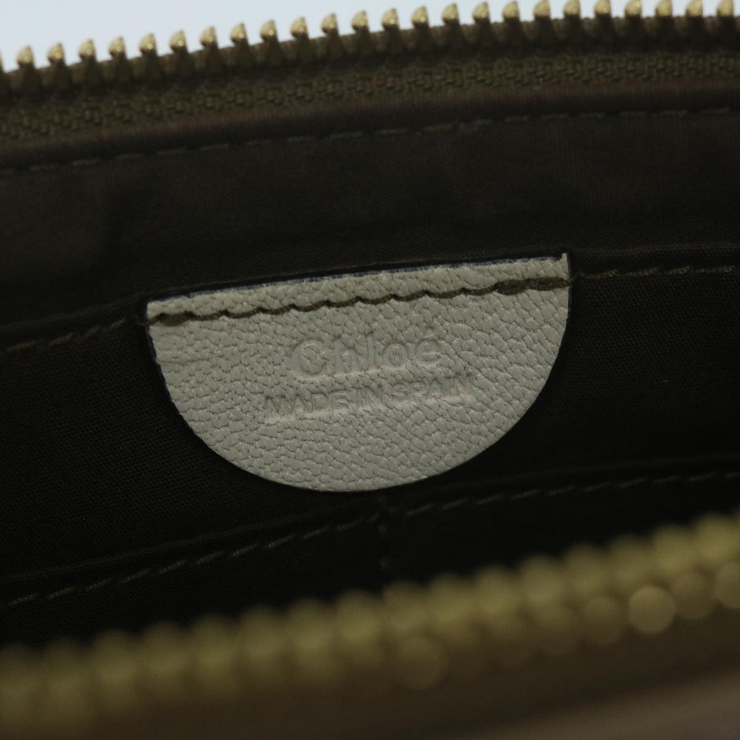 Chloe Chain Pouch Leather Green 63662