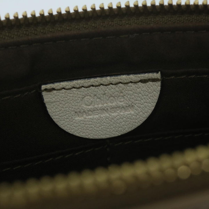 Chloe Chain Pouch Leather Green 63662