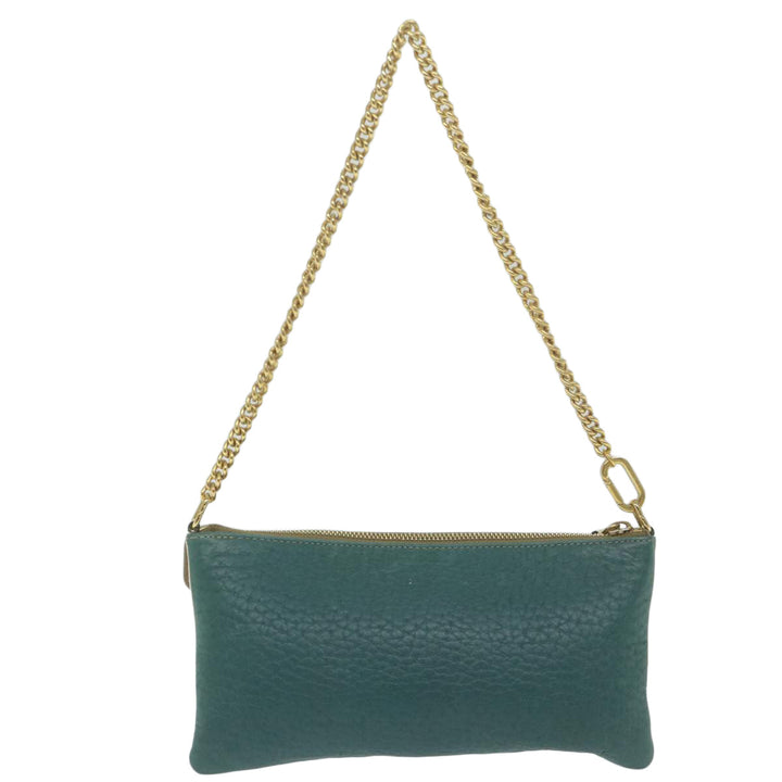 Chloe Chain Pouch Leather Green 63662