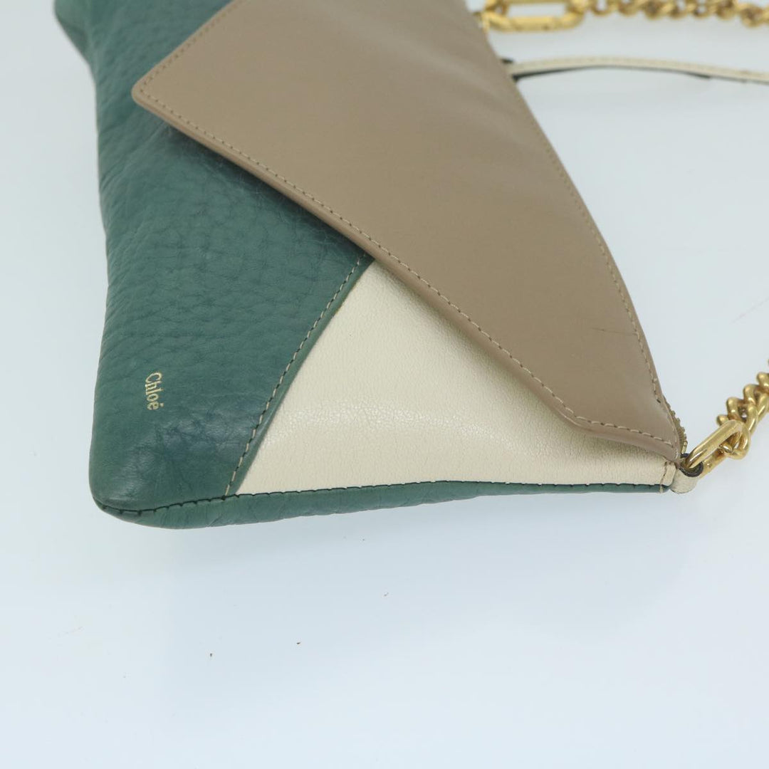 Chloe Chain Pouch Leather Green 63662