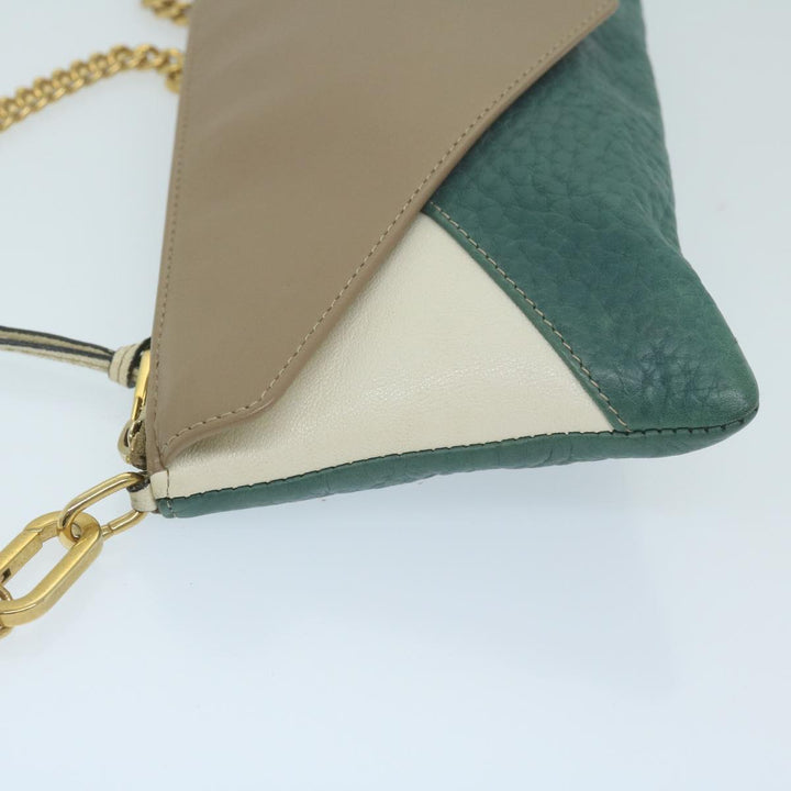 Chloe Chain Pouch Leather Green 63662