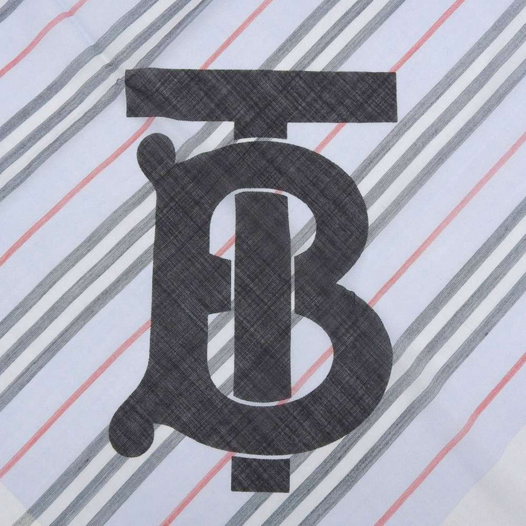 Burberry Scarves