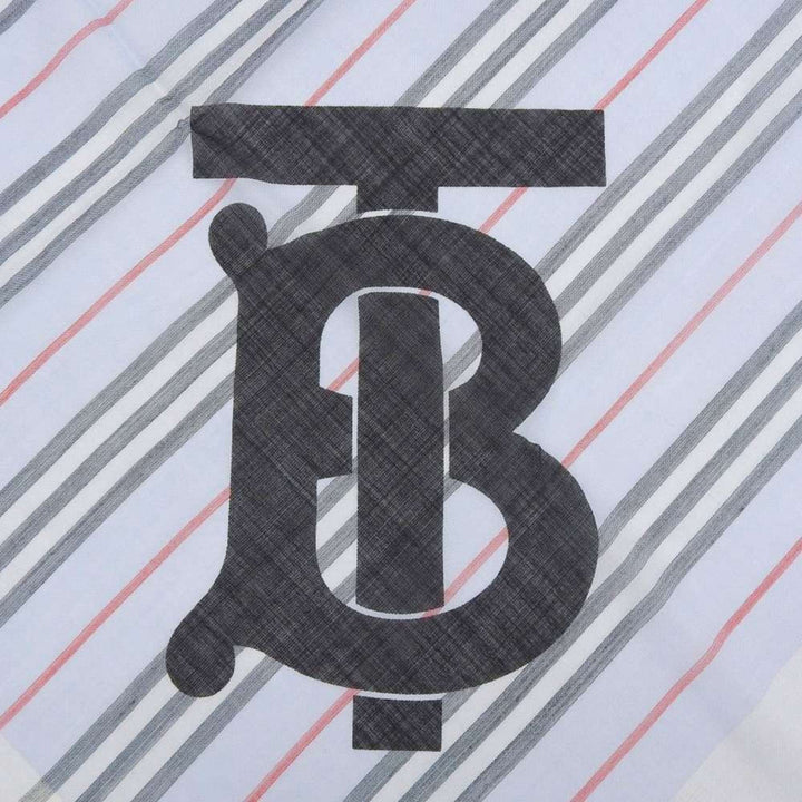 Burberry Scarves