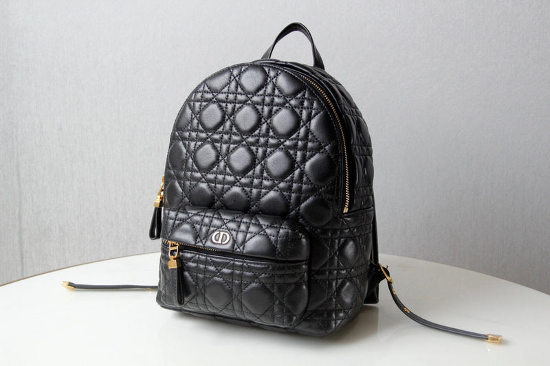 Bags Zone - Dior Bags - 1761