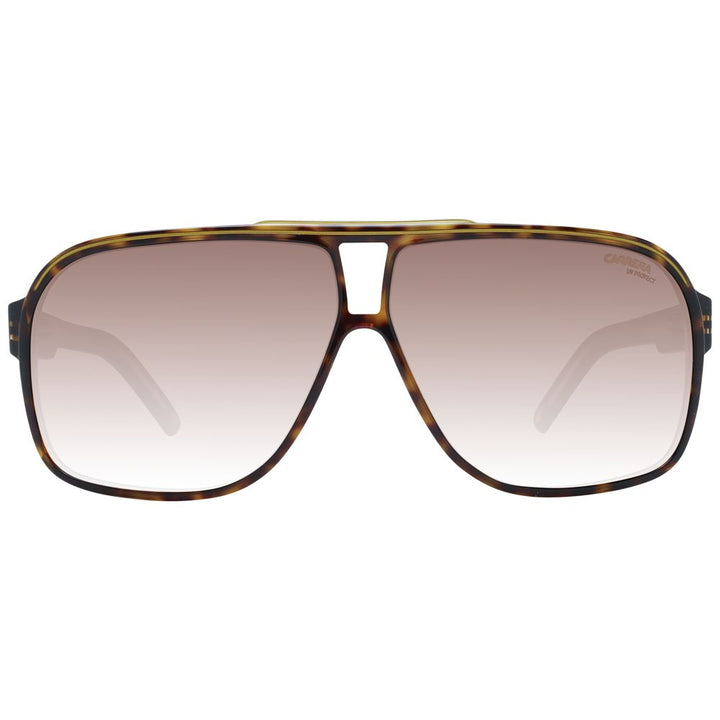 Carrera Brown Men Men's Sunglasses