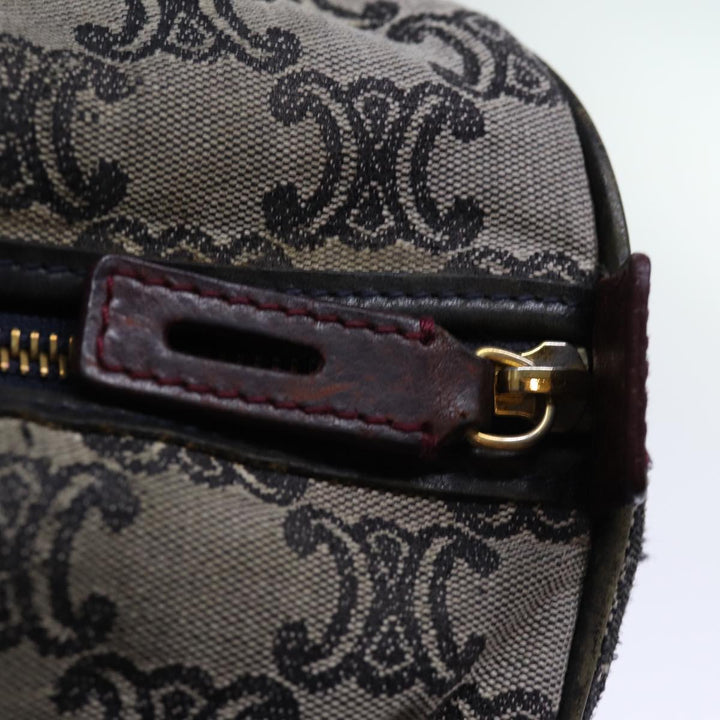 Celine Triomphe Canvas Hand Bag Gray Auth 73729