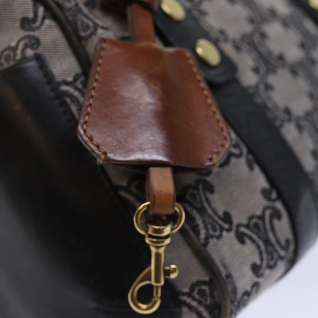 Celine Triomphe Canvas Hand Bag Gray Auth 73729