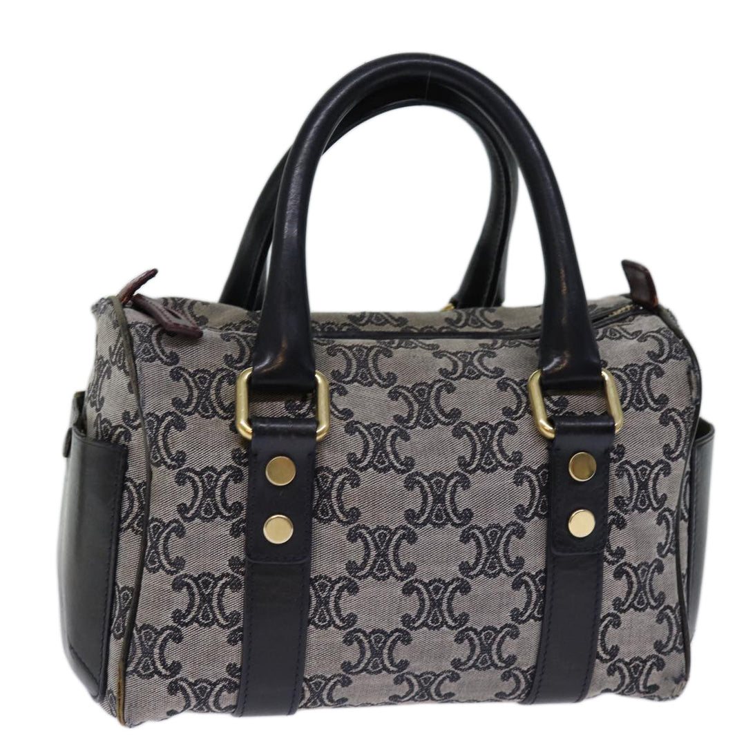 Celine Triomphe Canvas Hand Bag Gray Auth 73729
