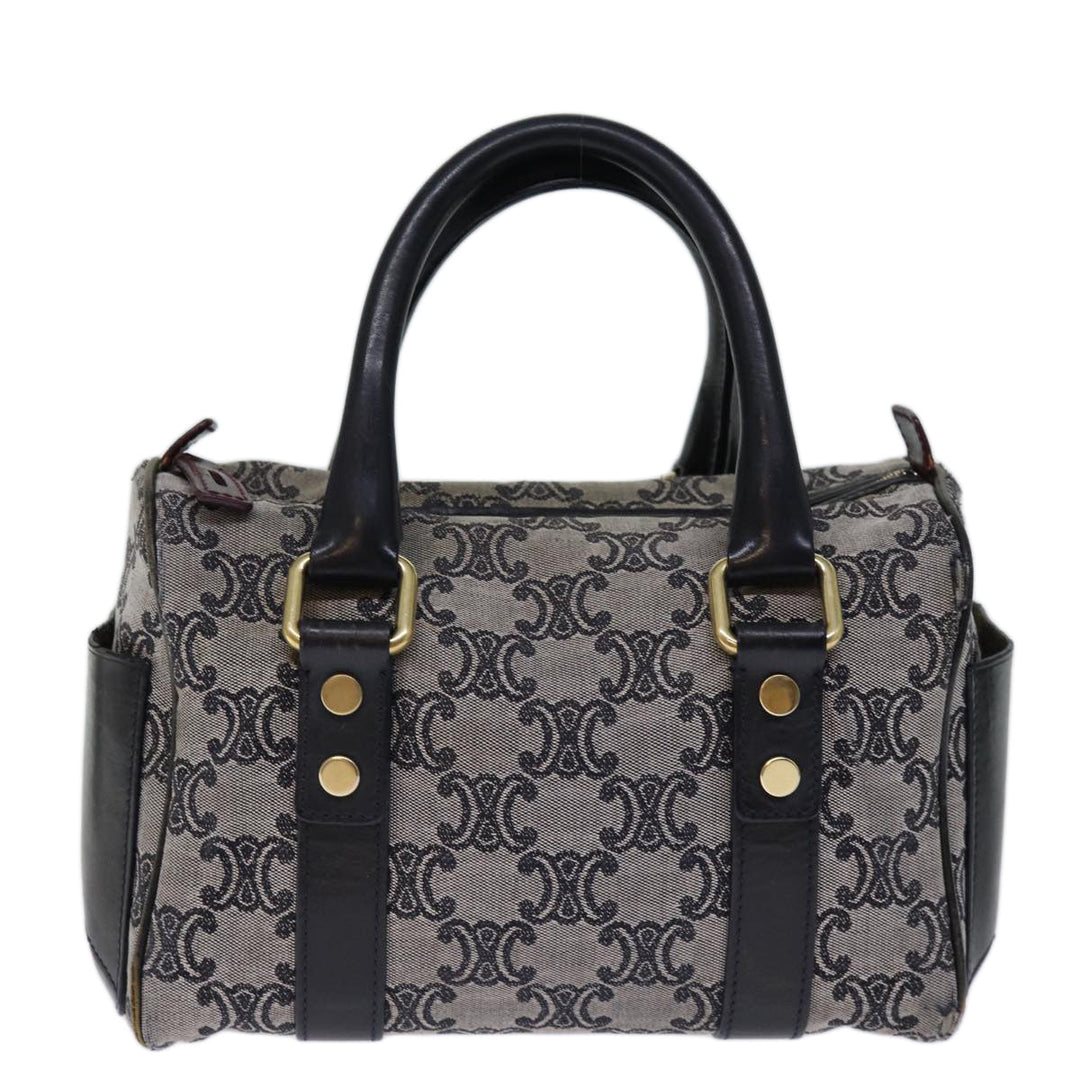 Celine Triomphe Canvas Hand Bag Gray Auth 73729