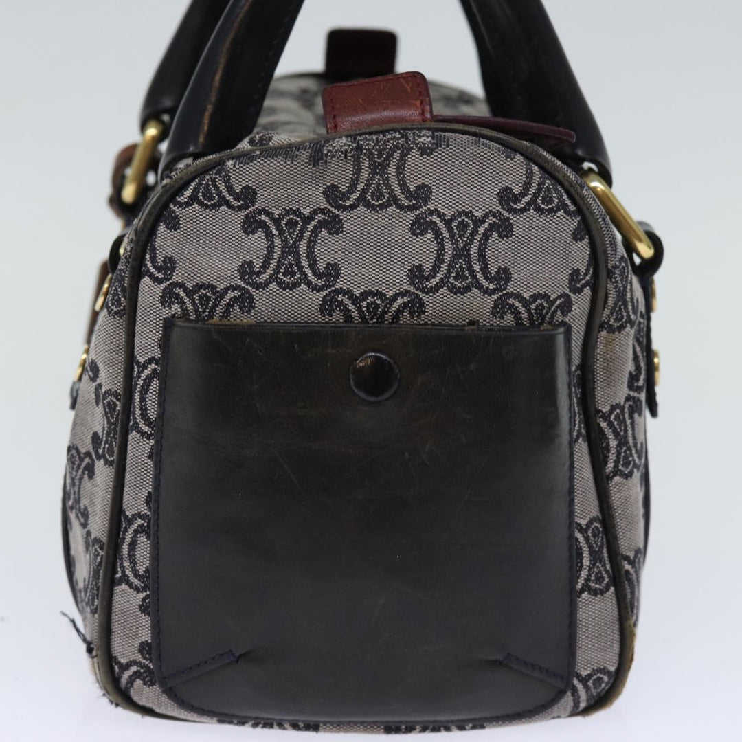 Celine Triomphe Canvas Hand Bag Gray Auth 73729