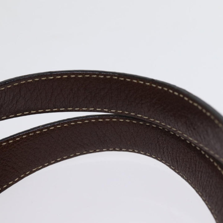 Celine Paris Macadam Canvas Hand Bag Brown Auth 77387