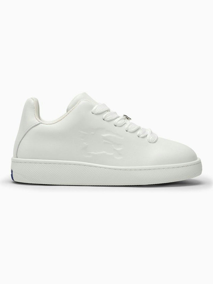 Box Sneakers