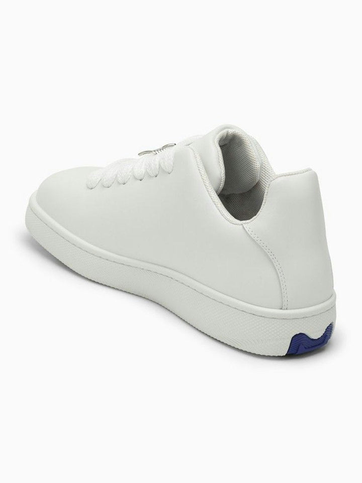 Box Sneakers