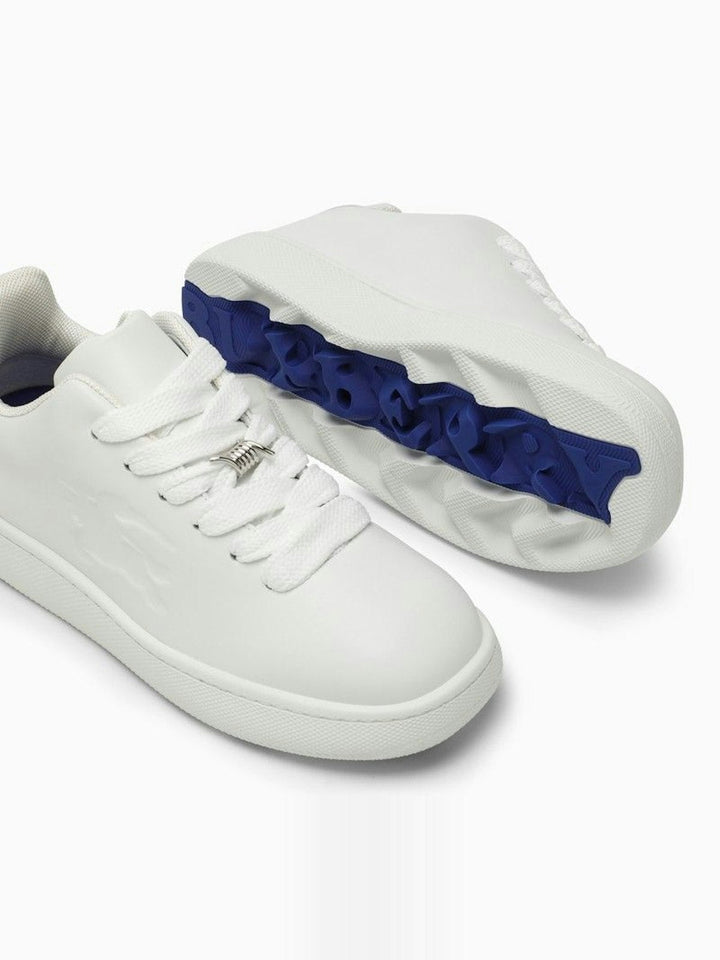 Box Sneakers