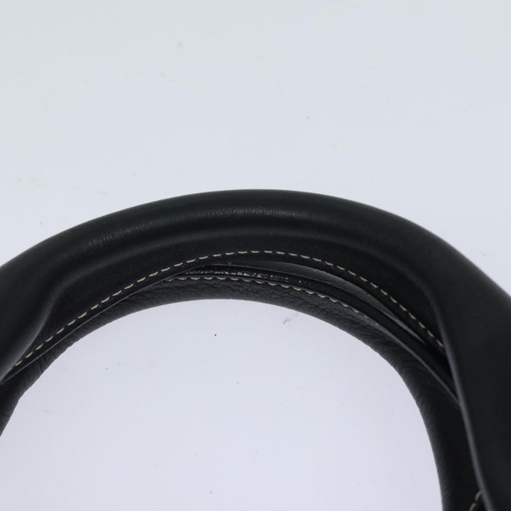 Celine Triomphe Hand Bag Canvas Navy  81135