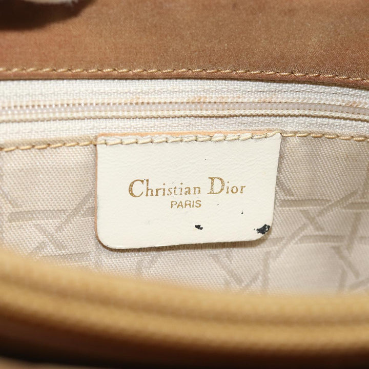 CHRISTIAN Dior Lady Dior Canage Hand Bag Nylon Brown Auth 81880
