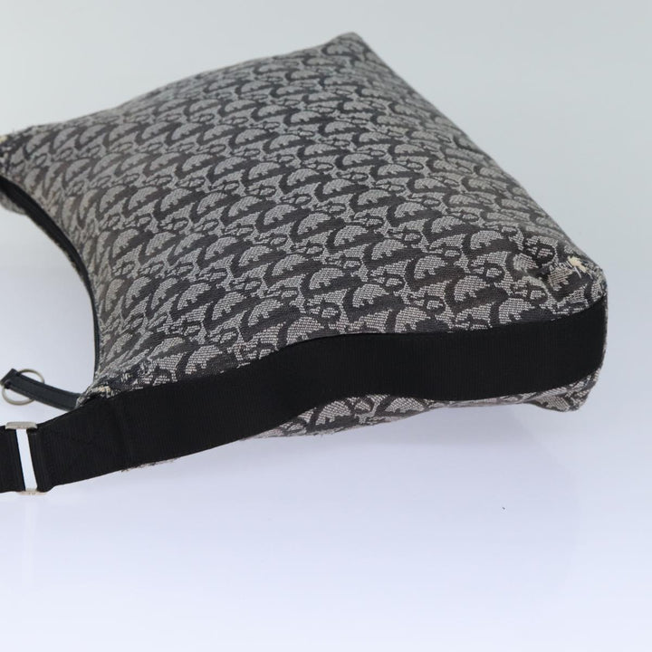 CHRISTIAN Top quality Dior Trotter Canvas Shoulder Bag Black Auth 82279