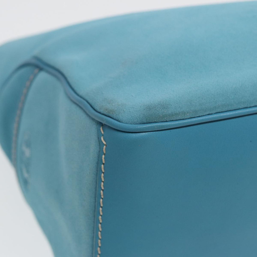 Celine Hand Bag Suede Blue Auth 84759