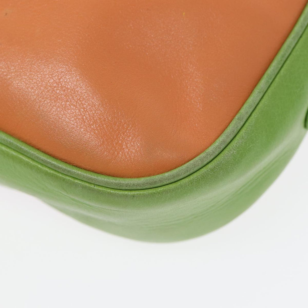 Celine Shoulder Bag Leather Pink Green gold Auth 86839