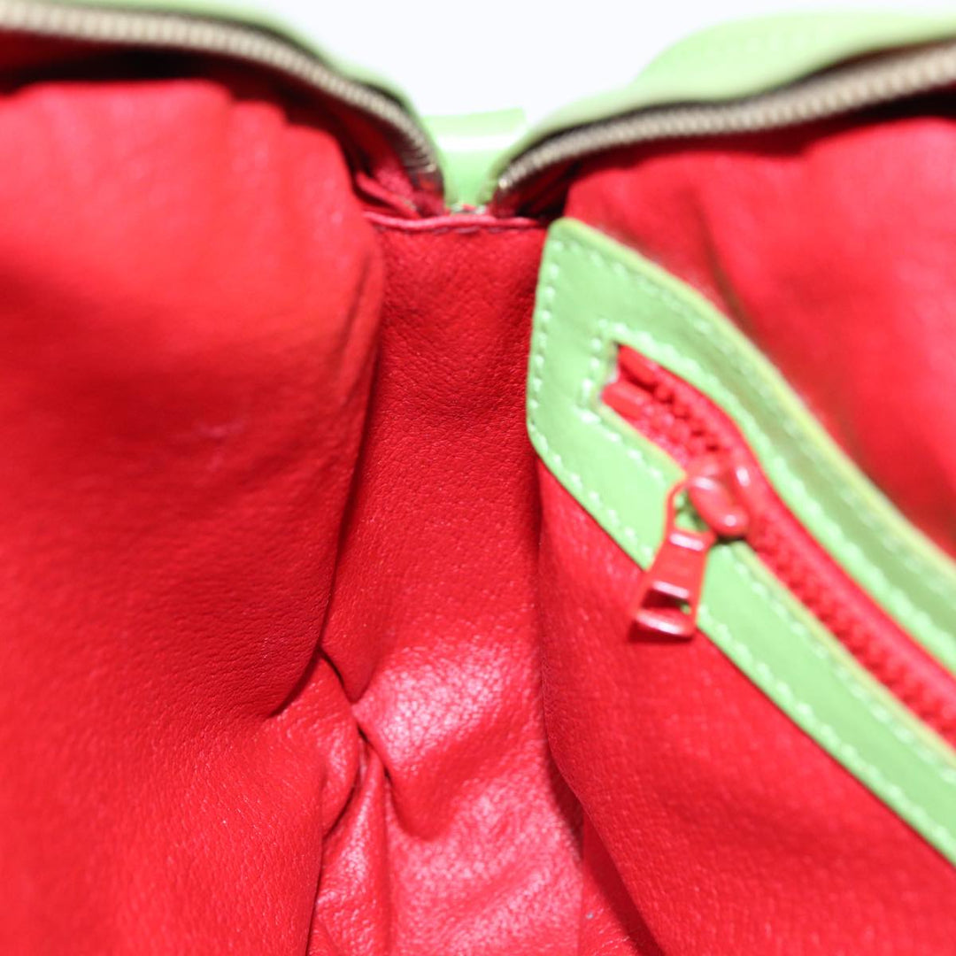 Celine Shoulder Bag Leather Pink Green gold Auth 86839