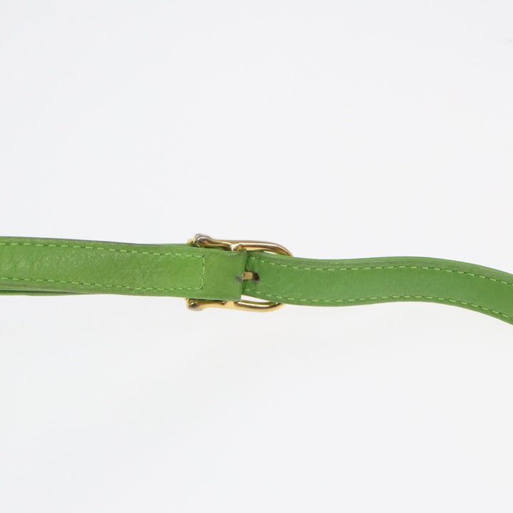 Celine Shoulder Bag Leather Pink Green gold Auth 86839