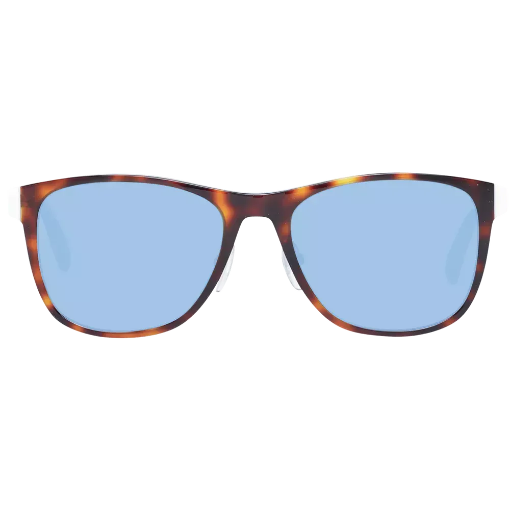 Adidas Brown Men Men's Sunglasses