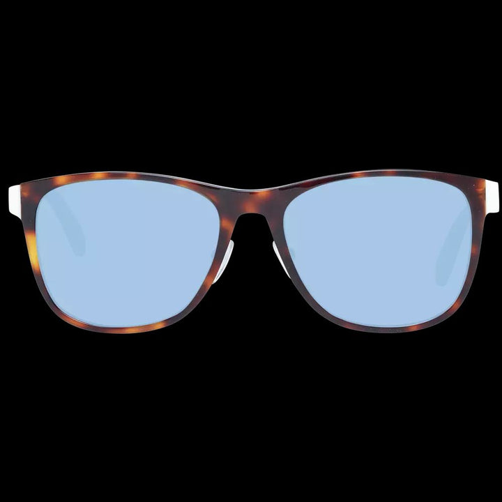 Adidas Brown Men Men's Sunglasses