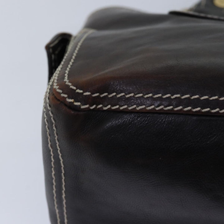 Celine Hand Bag Leather Brown Gold Auth 89146